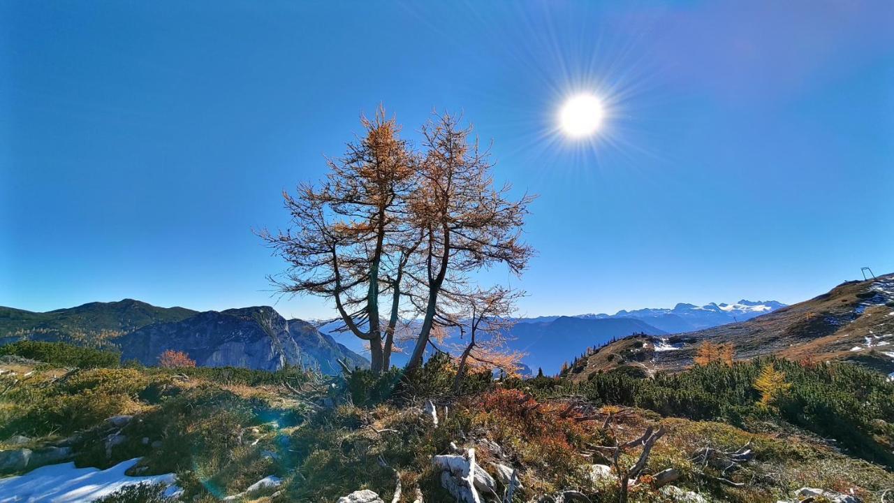 Apartmán Berglebnis Tauplitz Exteriér fotografie